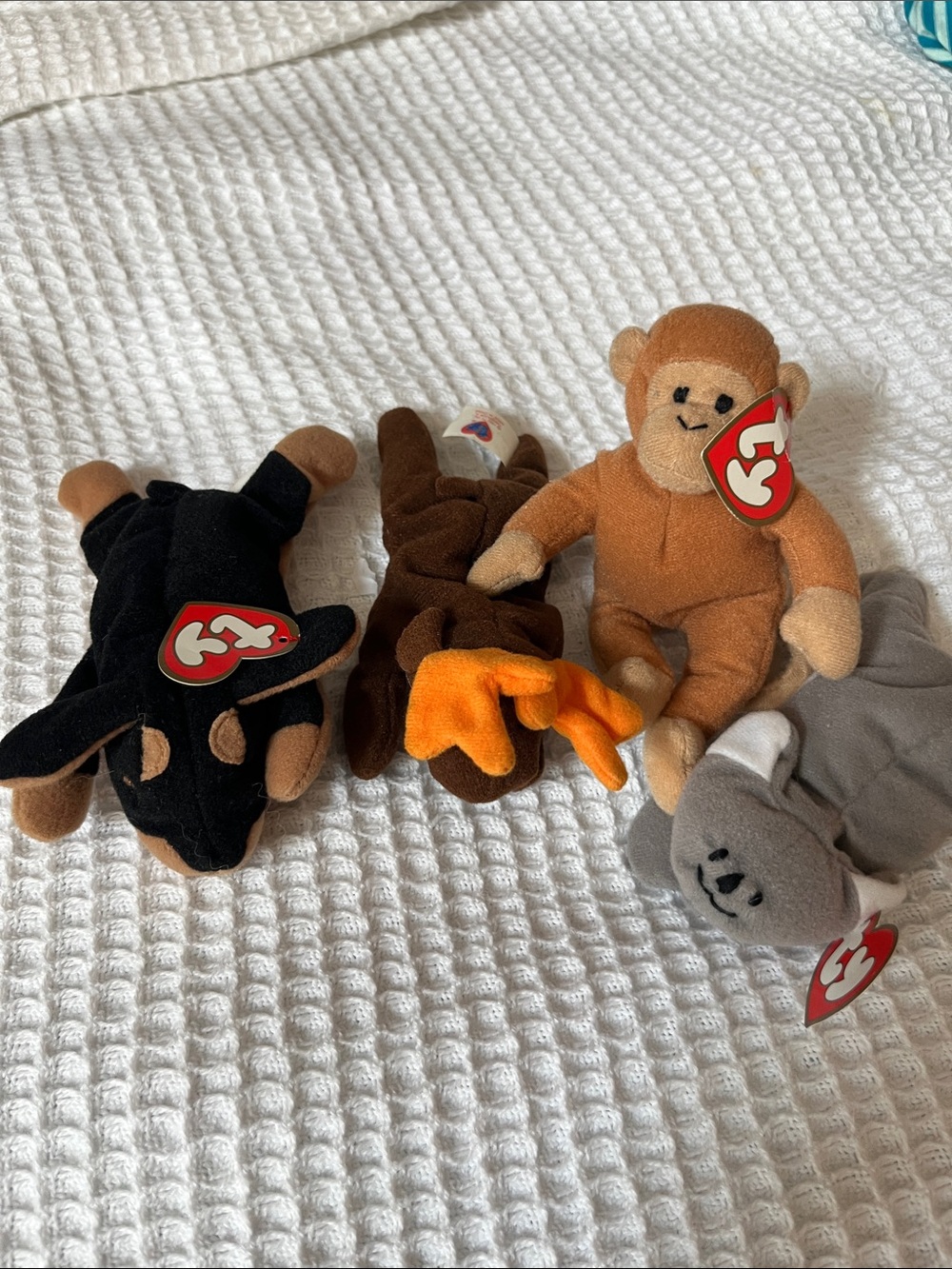 5 TY Teenie Beanie Babies- Monkey, Koala, Bat, Brown Bird (Assorted Colors)